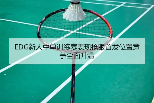 EDG新人中单训练赛表现抢眼首发位置竞争全面升温